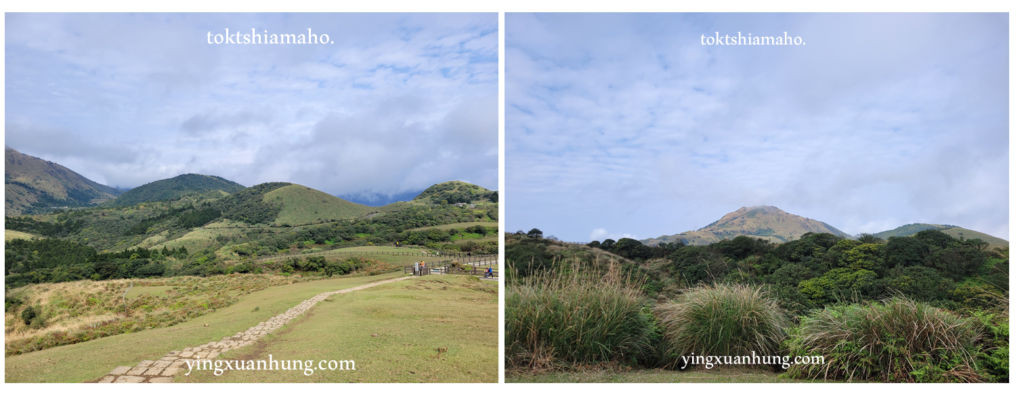 陽明山東西大縱走，竹篙山步道到擎天崗