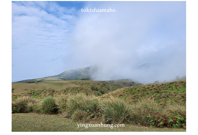 陽明山東西大縱走，往竹篙山