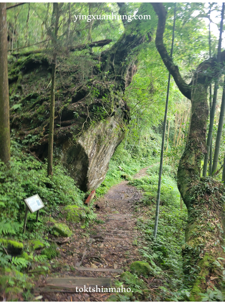 奮起湖大凍山