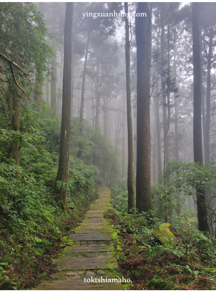 頂石棹步道群、霹靂山、大凍山、雲之道