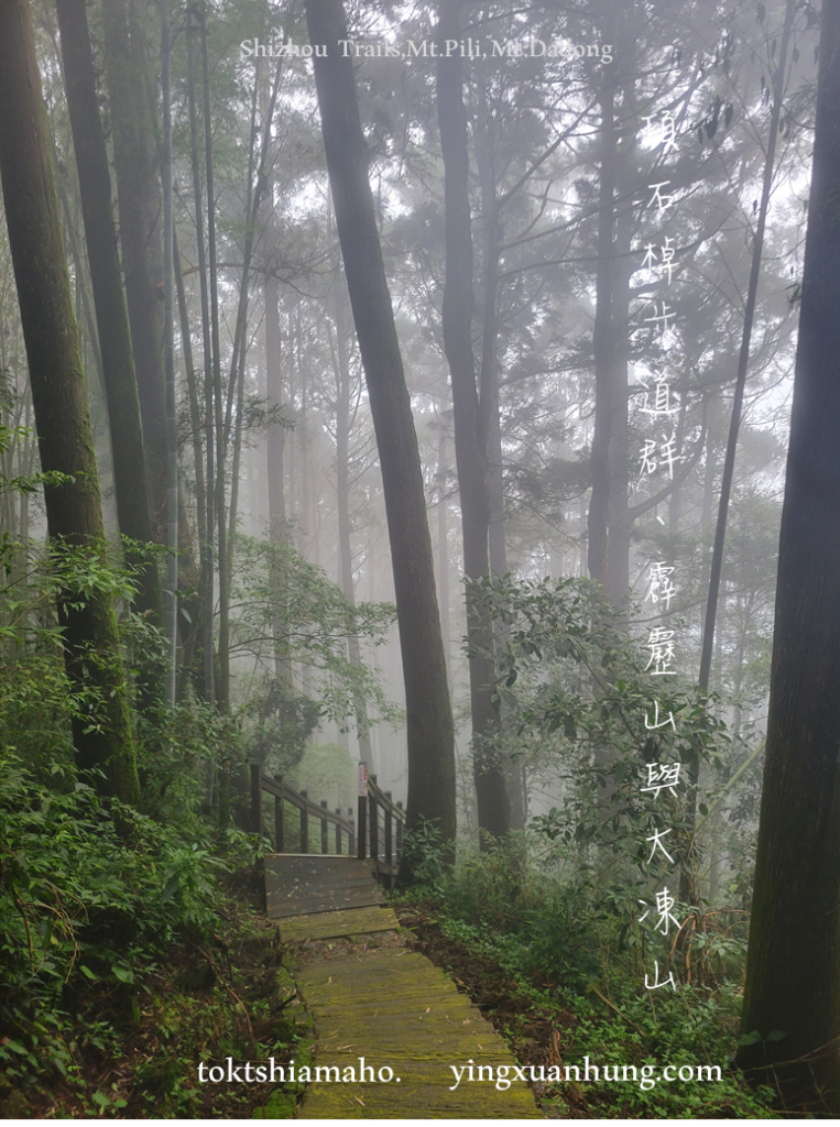 頂石棹步道群、霹靂山、大凍山