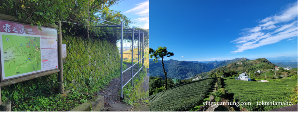 頂石棹步道群、霹靂山、大凍山