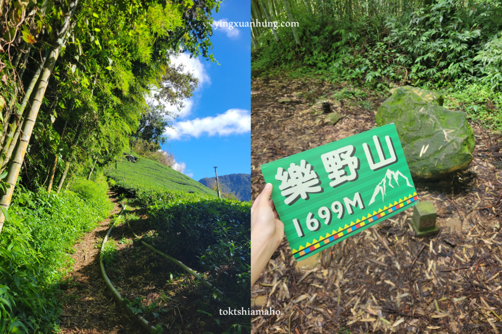 頂石棹步道群、霹靂山、大凍山、樂野山